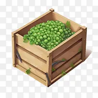 绿豌豆-绿豌豆豌豆木箱花园农业