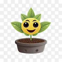 幼苗-幼苗植物绿色植物微笑植物多肉植物