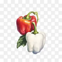 辣椒-辣椒辣椒蔬菜红白