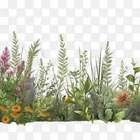 花边框-花边框