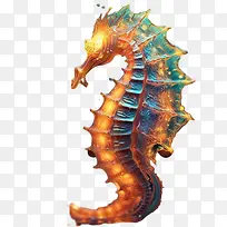 海马-海马海马海洋珊瑚微光