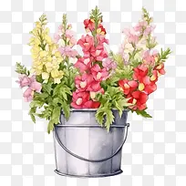 金鱼草花-金鱼草花水彩花卉盆栽花束