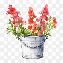 金鱼草花-金鱼草花粉红色的花朵水彩花桶花瓶
