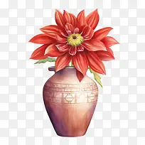 大丽花花-红色的花