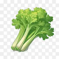 芹菜——健康食品
