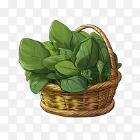 菠菜-健康食品