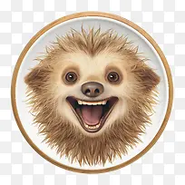 树懒-树懒树懒微笑可爱的面部表情