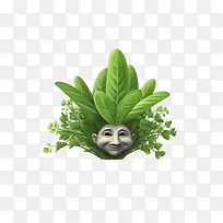 草本-草本蔬菜肖像绿色笑脸绿叶头植物头