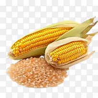 玉米-玉米玉米谷物食品谷物