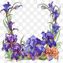 鸢尾花-花边框