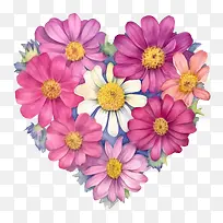 百日草花-百日草花粉红色的花朵花束插花花园