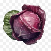 红甘蓝-红甘蓝覆盆子覆盆子红甘蓝蔬菜