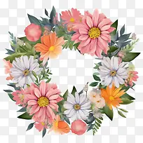 百日草花-手绘