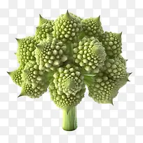 romanesco-romanesco西兰花绿色蔬菜健康