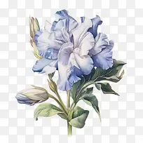 花表情符号-花表情符号