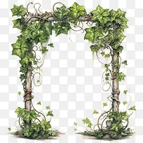 常春藤框架-植物框架