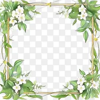 茉莉花-茉莉花