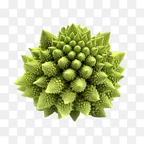 romanesco-romanesco球形绿色植物花