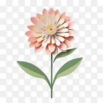 百日草花-玫瑰