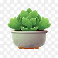 多肉植物-仙人掌