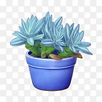 蓝色千里光多肉植物-仙人掌
