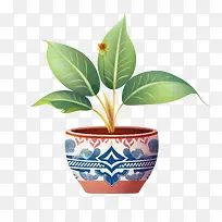植物间盆栽植物花