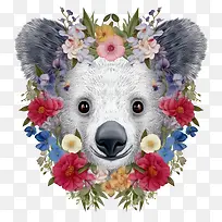 考拉-考拉熊花圈鲜花野生动物