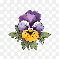 三色堇花-三色堇花三色堇紫色黄色花