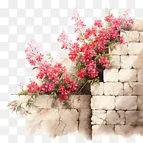 哭墙花-哭墙花粉红色的花朵水彩旧风化