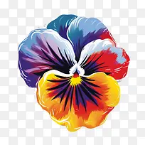 三色堇花-三色堇花花三色堇多彩充满活力