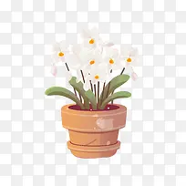兰花植物-兰花植物白花盆栽植物花盆里的花