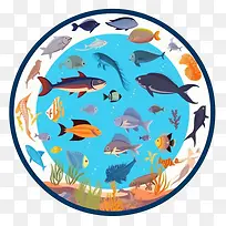 海滩-海滩鱼海洋生物水生动物海洋生物