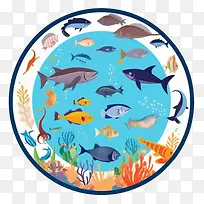 海滩-海滩鱼鱼海洋生物海洋