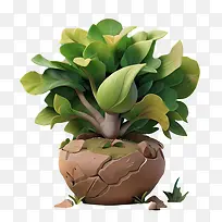 植物-盆栽植物绿叶