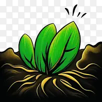 植物-植物植物绿叶根
