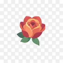鲜花-花艺设计