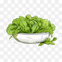 绿色沙拉-健康食品