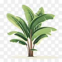 香蕉树-香蕉树