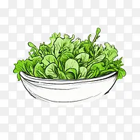 绿色沙拉-沙拉