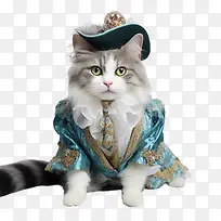猫猫宠物照片日猫服装古董