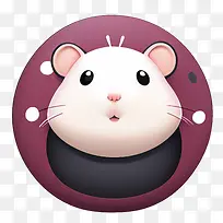 仓鼠-仓鼠