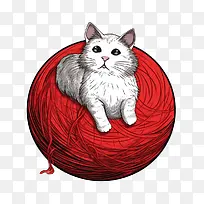 猫玩毛线球-猫玩毛线球猫白红球