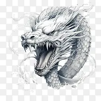 国家海蛇日-龙