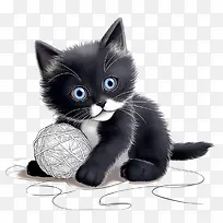猫玩毛线球-猫玩毛线球小猫黑蓝眼睛的毛线球