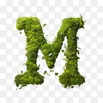 字母m-字母m绿色苔藓字母自然