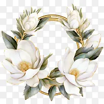 玉兰花-玉兰花