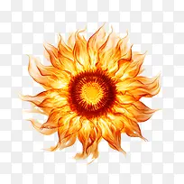 国家向日葵日-国家向日葵日火焰太阳火太阳能系统