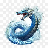 国家海蛇日-龙