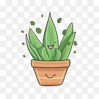 芦荟-芦荟