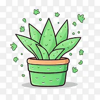 芦荟-芦荟叶